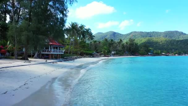 Marismas Isleñas Por Mañana Vacaciones Verano Jamaica Caribe — Vídeos de Stock