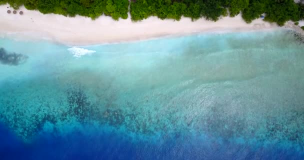 从顶部看海岸 巴巴多斯热带天堂 加勒比 — 图库视频影像