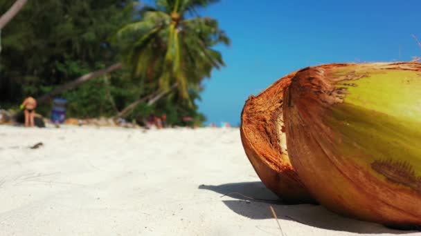 코코넛은 불분명 배경을 해변에 있습니다 인도네시아 발리로 — 비디오