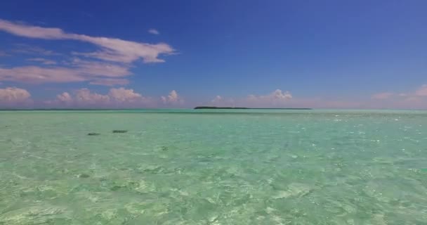 Gün Ortasında Sakin Bir Deniz Bahamalar Karayipler Yaz Sahnesi — Stok video