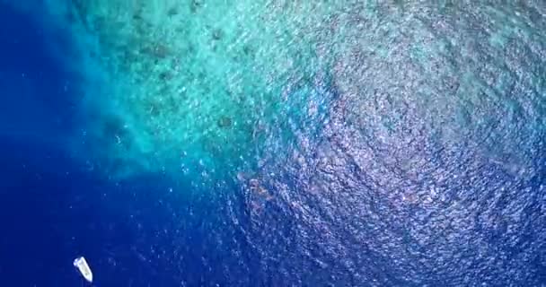 Vista Superior Los Turistas Snorkel Viaje Exótico Barbados Caribe — Vídeos de Stock