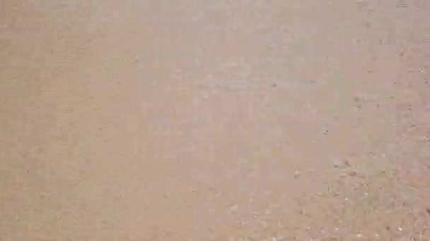 Piaszczysta Plaża Kryształową Wodą Lato Relaks Bali — Wideo stockowe