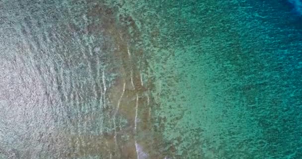 海滨海水的透明度 多米尼加共和国 加勒比之行 — 图库视频影像