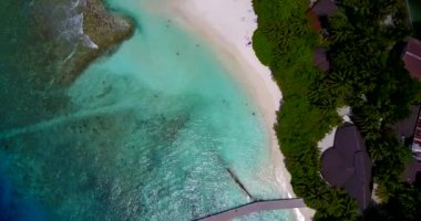 Güneşli sahil manzarası. Bahamalar cennet sahnesi, Karayipler. 