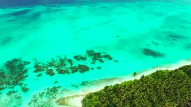 Mavi berrak suyu ve tropik adası olan manyetik deniz manzarası, Barbados, Karayipler.