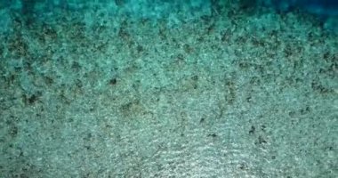 Turkuaz denizin dibindeki küçük kayalar ve yosunlar. Endonezya, Bali 'nin egzotik doğa manzarası.