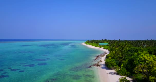 Sommarkustlinje Med Gröna Träd Bahamas Karibiens Tropiska Natur — Stockvideo