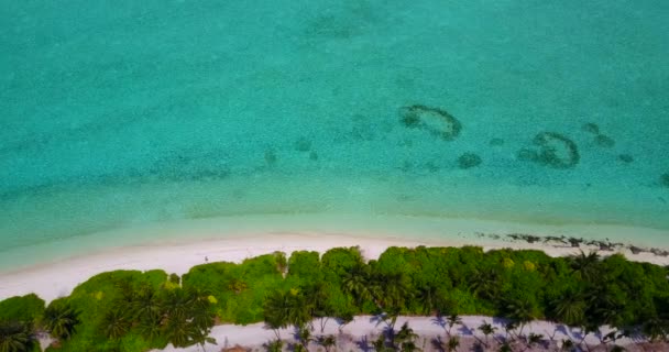 Volando Cerca Isla Clima Cálido Soleado Viaje Maldivas — Vídeo de stock
