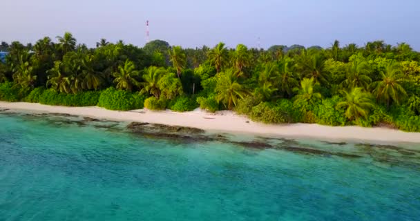 带着令人惊奇的碧绿海浪 棕榈和珊瑚礁 俯瞰马尔代夫岛 — 图库视频影像