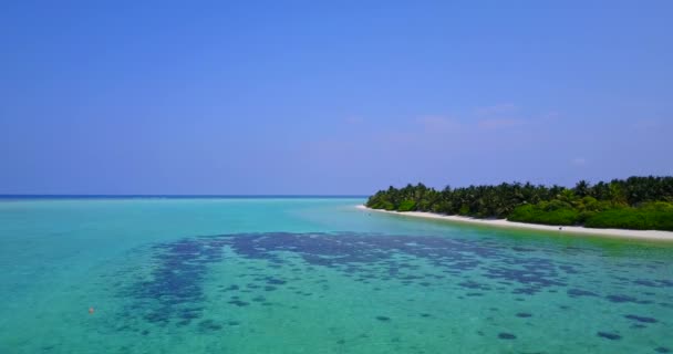从无人侦察机观测海滨景色 享受多米尼加共和国 加勒比的自然美景 — 图库视频影像
