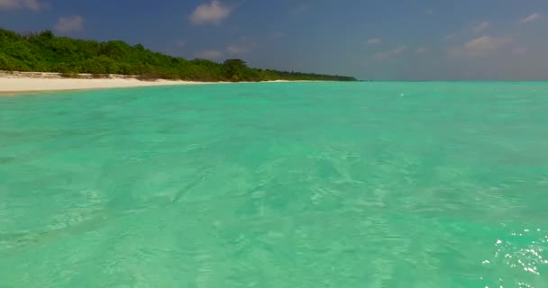 透明な緑の浅い水 インドネシアのバリで夏休みを楽しむ — ストック動画
