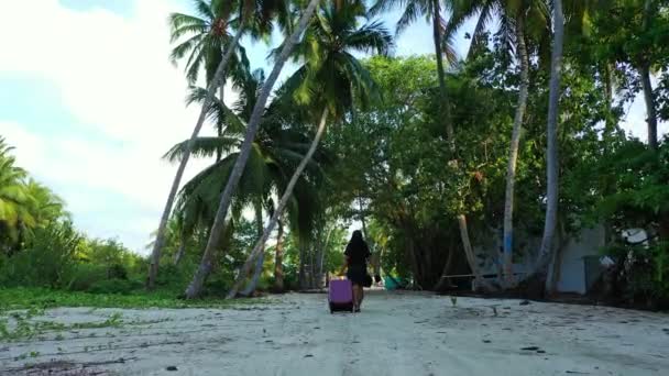 Femme Marchant Avec Valise Île Tropicale — Video