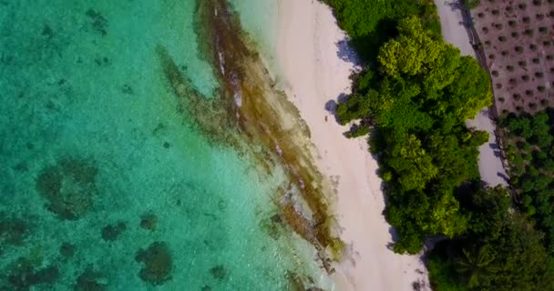 Paisagem Aérea Ilha Verde Cena Natureza Tropical Jamaica Caribe — Vídeo de Stock