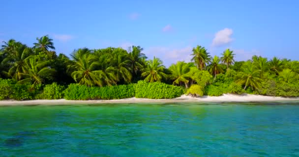 Yeşillik Yemyeşil Palmiyeleri Olan Yeşil Deniz Kenarlı Bir Ada Endonezya — Stok video