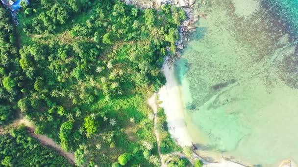 夏の昼間の自然の風景 バリ島の牧歌的な自然 — ストック動画