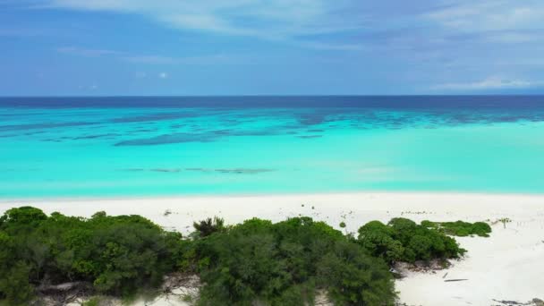 Drohnenblick Auf Einen Atemberaubenden Strand Auf Barbados Der Östlichen Karibikinsel — Stockvideo