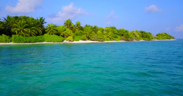 Sahilde Yemyeşil Palmiyeleri Olan Turkuaz Deniz Kenarı Güney Asya Maldivler — Stok video