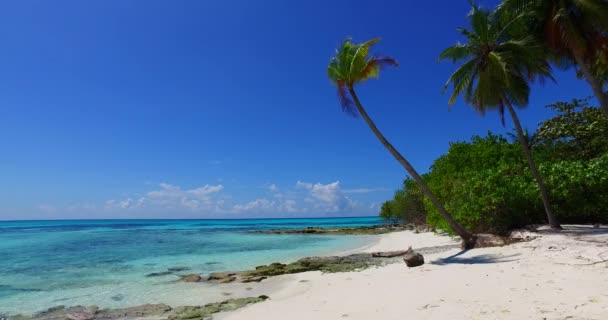 Grüne Palmen Klaren Strand Landschaft Jamaikas Karibik — Stockvideo