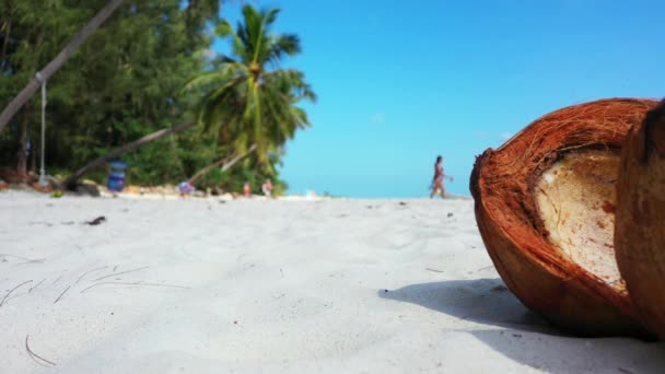 Vista Cercana Del Coco Playa Relájese Verano Bali — Vídeo de stock