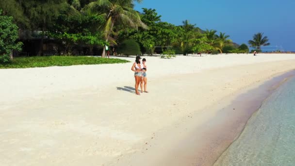 Hög Vinkel Bilder Kvinnor Som Går Stranden — Stockvideo