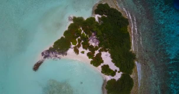 Vídeo Aéreo Isla Tropical Con Playa Arena Blanca Palmeras Agua — Vídeo de stock
