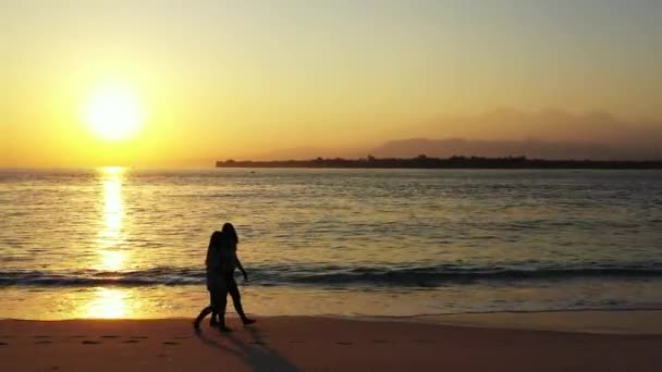 Schöne Junge Frauen Tropischen Strand — Stockvideo