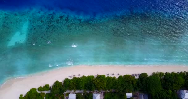 Top View Island Seashore Exotic Vacation Bali Indonesia — Stock Video