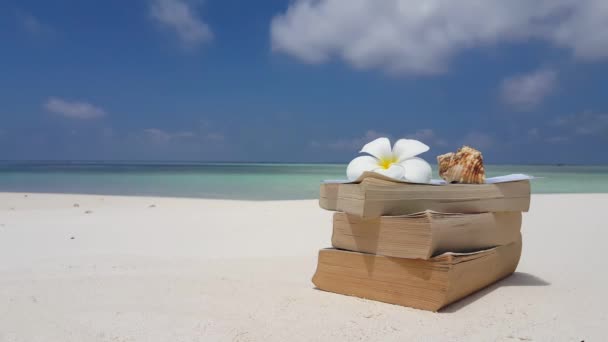 Deniz Kabuğu Kitaplarla Dolu Bir Çiçek Endonezya Nın Bali Doğası — Stok video