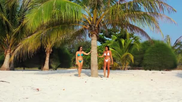 Két Fiatal Lány Barát Bikiniben Áll Homokos Tengerparton Pálmafa Alatt — Stock videók