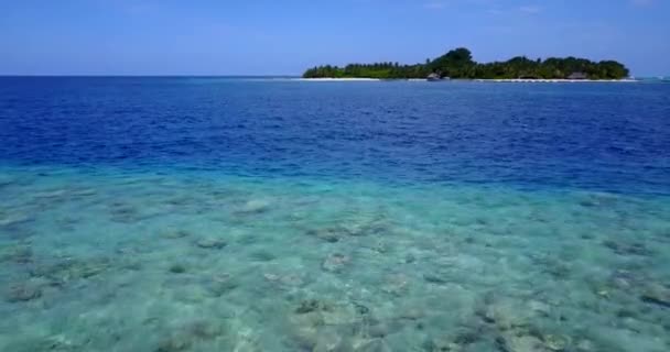 穏やかな海辺の景色 ドミニカ共和国 カリブ海のエキゾチックな自然 — ストック動画