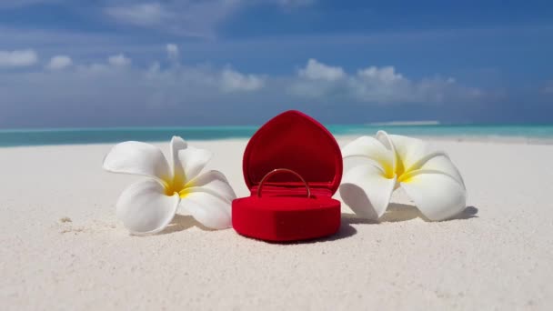 Gouden Ring Rode Doos Met Plumeria Bloemen Het Strand Natuur — Stockvideo