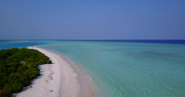 夏の海辺の風景 カリブ海のバハマの自然 — ストック動画