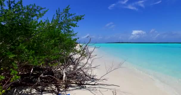 Jasne Turkusowe Morze Wokół Wyspy Egzotyczna Podróż Barbados Karaiby — Wideo stockowe