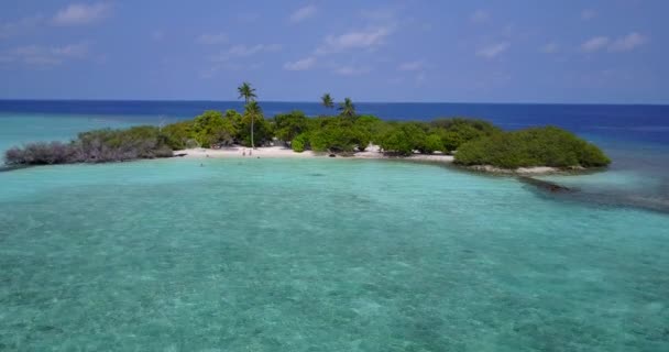 Isla Lujo Con Frondosos Árboles Vegetación Seychelles África Oriental — Vídeo de stock