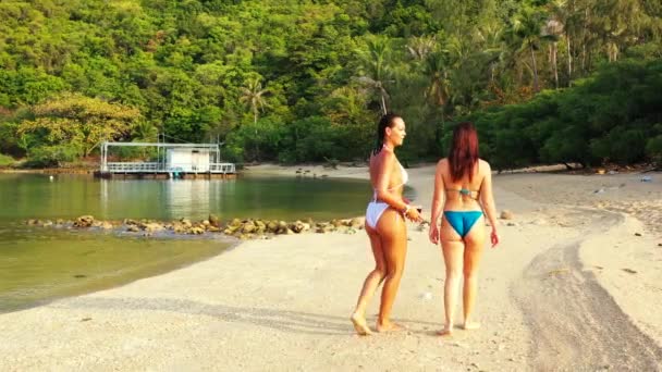 Dos Amigas Jóvenes Bikini Caminando Por Costa Del Mar Día — Vídeos de Stock
