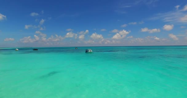 Fondo Paisaje Marino Turquesa Brillante Viaje Tropical Barbados Caribe — Vídeo de stock