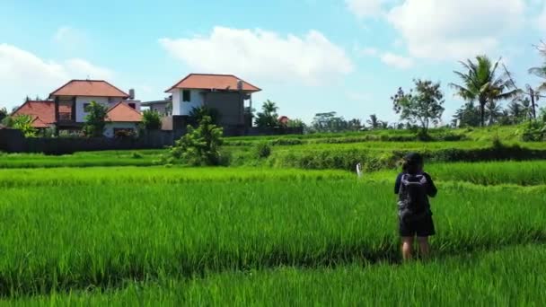 Filmato Giovane Ragazza Asiatica Verde Bellissimo Campo Isola Tropicale — Video Stock