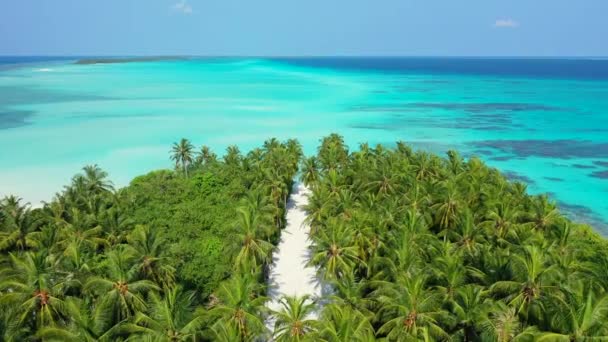 Vista Panorámica Las Palmeras Verdes Que Conducen Mar Turquesa Viaje — Vídeo de stock