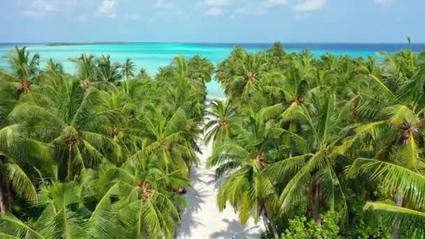 晴れた海岸線の景色 ドミニカ共和国 カリブ海でのエキゾチックな休暇 — ストック動画