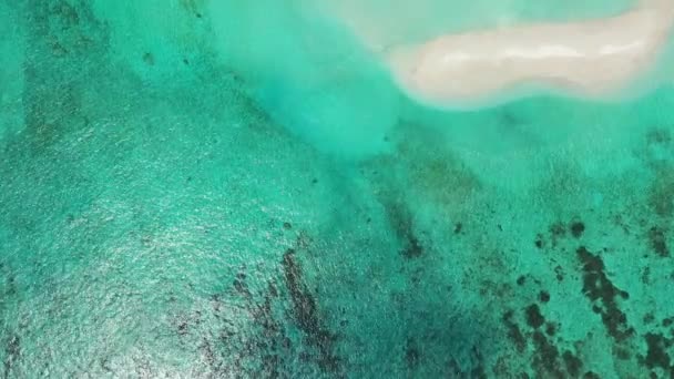 Tiszta Kék Sekély Víz Felülnézete Bora Bora Természeti Jelenete Francia — Stock videók