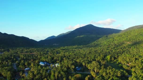 Alte Montagne Coperte Alberi Verdi Goditi Una Vacanza Tropicale Bali — Video Stock