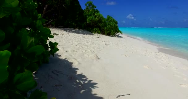 Tittar Den Livliga Turkosa Strandlinjen Den Gröna Exotisk Karaktär Dominikanska — Stockvideo