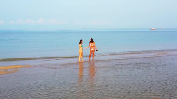 Deux Jeunes Amies Bikini Debout Dans Eau Sur Côte Parlant — Video