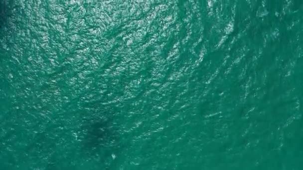 Yeşil Dalgalı Deniz Yüzeyi Avustralya Yaz Gezisi — Stok video