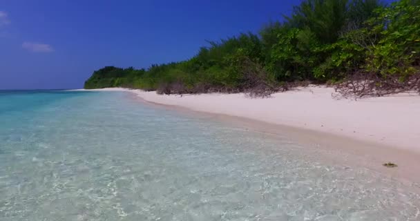 Wybrzeże Płytką Wodą Brzegu Egzotyczne Wakacje Dominikana Karaiby — Wideo stockowe