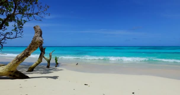 Seashore Met Helder Turquoise Water Zomer Ontspannen Bora Bora Frans — Stockvideo