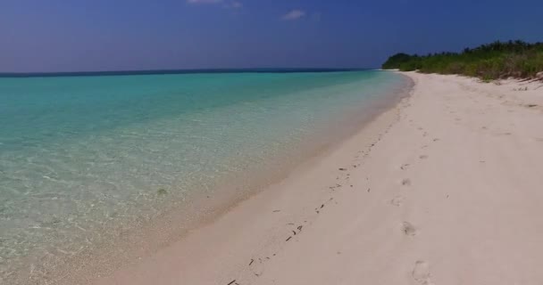 Havsstrand Med Kristallvatten Och Gröna Träd Bahamas Karibiens Tropiska Natur — Stockvideo