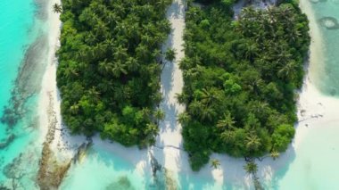 Tropik adadaki yeşil palmiyelerin insansız hava aracı görüntüsü. Güney Asya, Maldivler 'de yaz sahnesi.