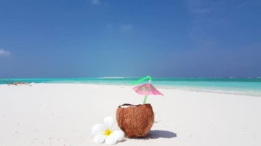 Kumsalda hindistan cevizi içeceği. Barbados, Karayipler 'e egzotik yolculuk. 