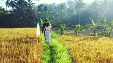 Pirinç tarlalarında yürüyen çiftin videosu.